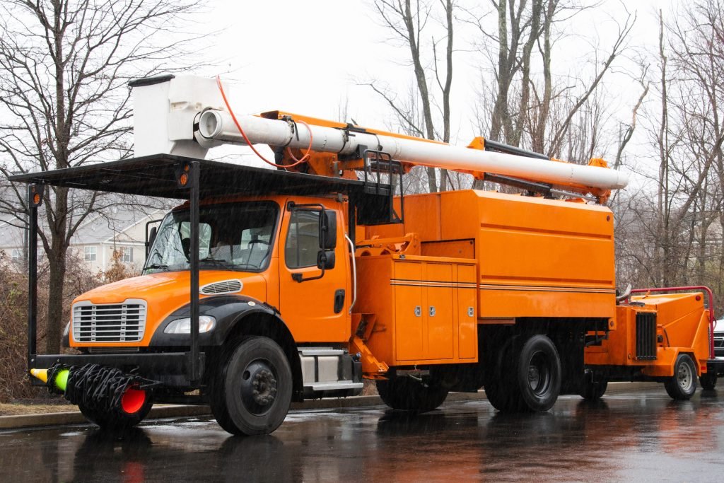 contact a tree removal service