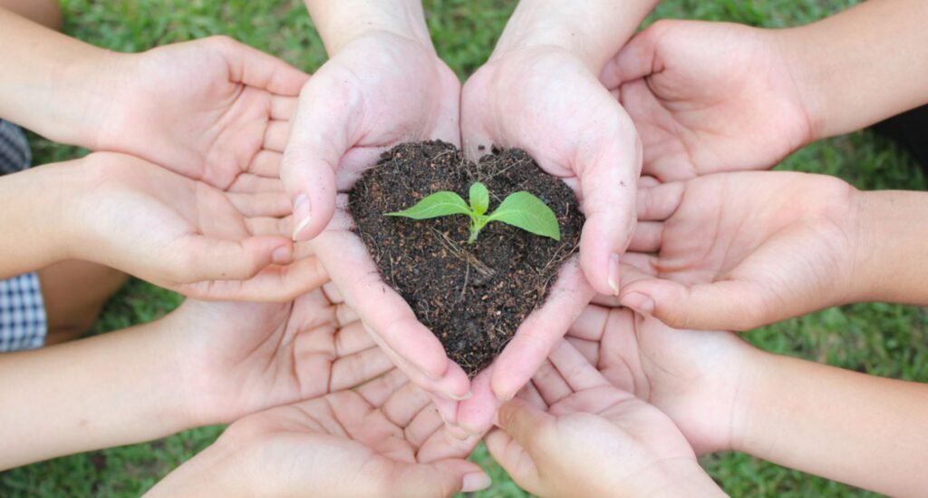 Best Tree Service New York City, NY | Local Arborist & Tree Experts
